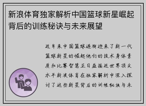 新浪体育独家解析中国篮球新星崛起背后的训练秘诀与未来展望